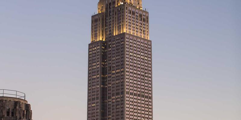 从“不毛之地”到“希望沃土”：解码滨州无棣盐碱地治理的现代农业新范式