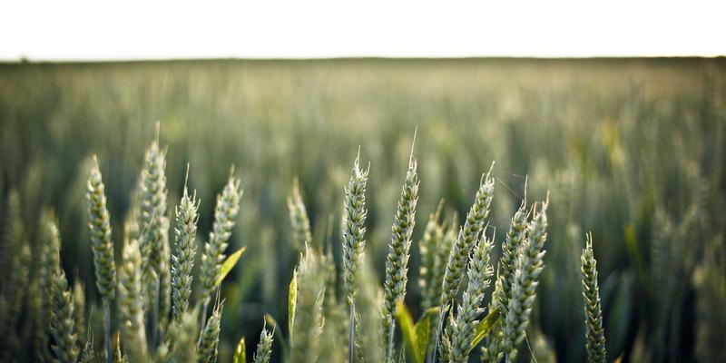 穿越千年看滨州：历史名人如何塑造今天的滨州信息与滨州生活